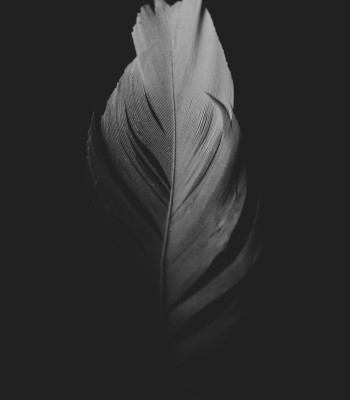 A Native American student is suing her former high school after she was forced to remove an eagle feather during her graduation ceremony.