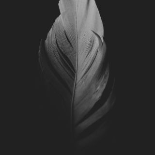 A Native American student is suing her former high school after she was forced to remove an eagle feather during her graduation ceremony.