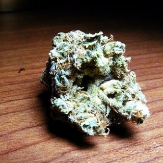 marijuana church