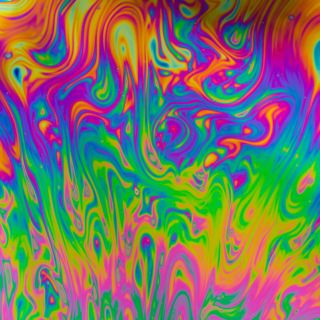 psychedelic church sues government